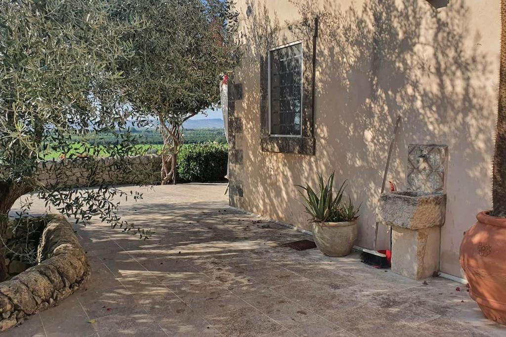Villa Calma Ното Экстерьер фото