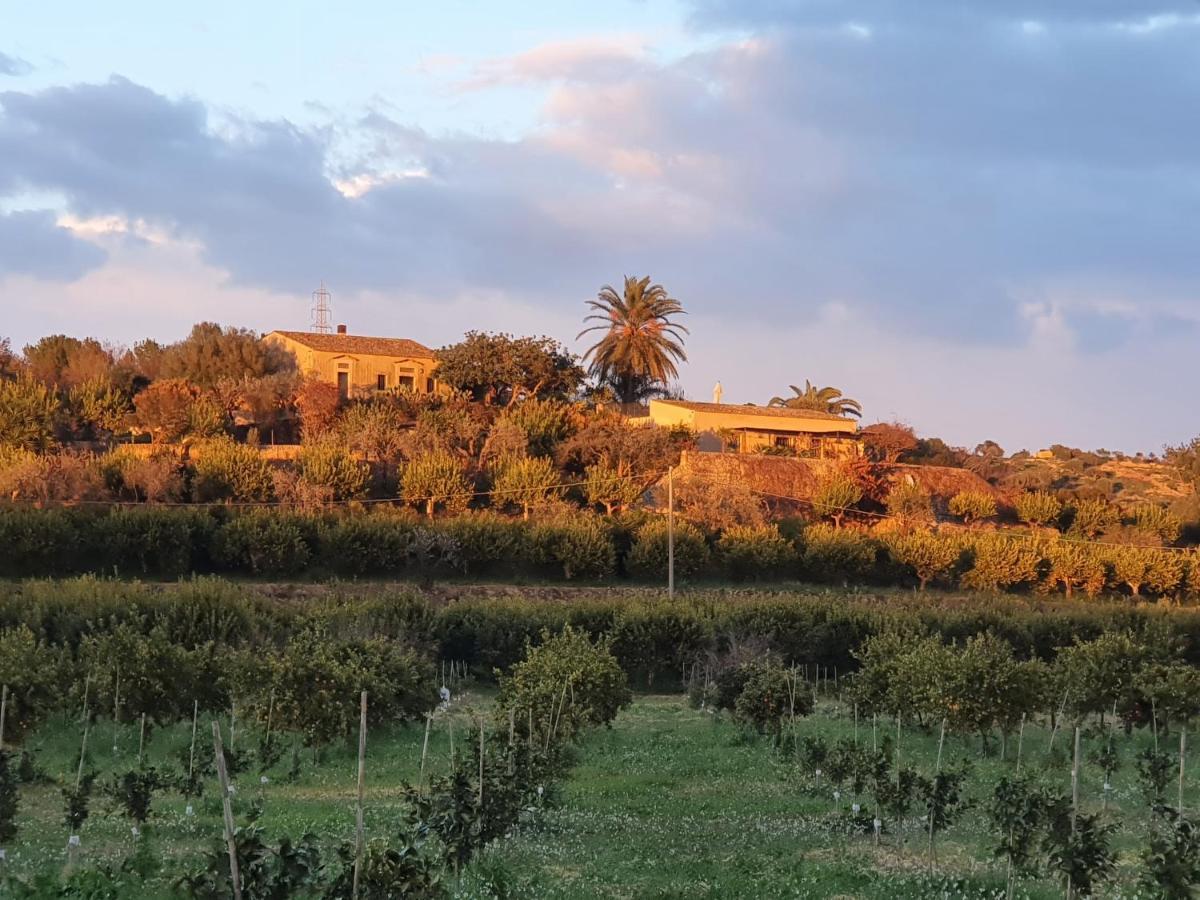 Villa Calma Ното Экстерьер фото