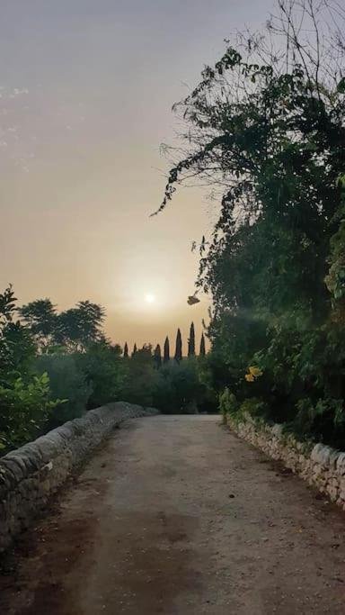 Villa Calma Ното Экстерьер фото